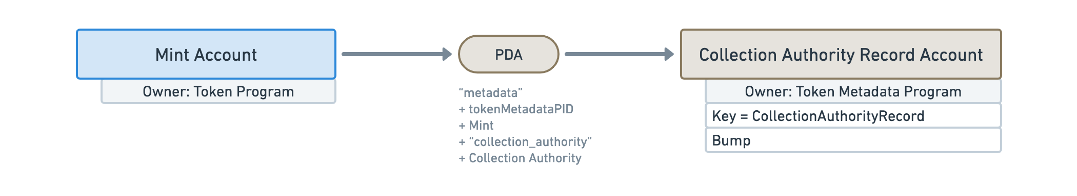 Diagram showing a Collection Authority Record Account derived from a Mint Account with a list of data fields under the Collection Authority Record Account that is listed on the fields table below.